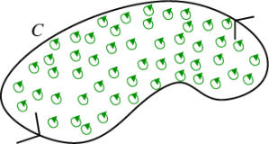 macroscopic_microscopic_circulation