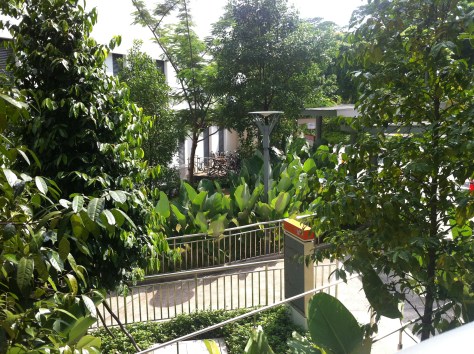 Photo 14-7-18 10 55 26